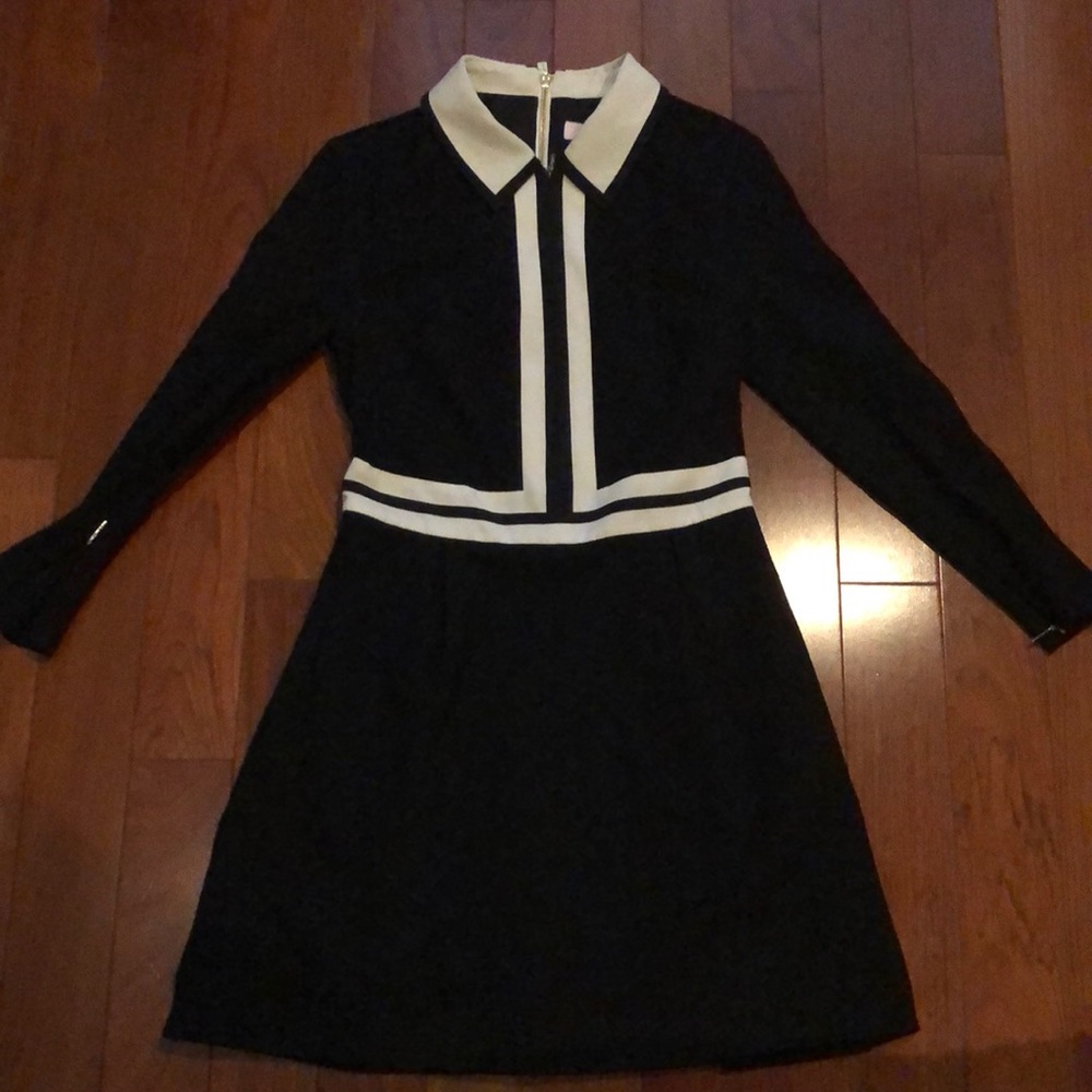 Ted Baker Skater Dress